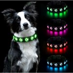 Jusch - collier lumineux pour chiens, lumire collier chien rechargeable et etanche, collier de rglable ...