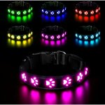 Jusch - led collier lumineux pour chiens, lumi�re collier chien rechargeable et etanche, collier de r�glable ...