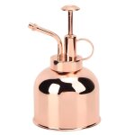 Vaporisateur d'arrosage pour plantes, arrosoir vintage pour arroser de petites plantes de la maison, ...