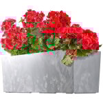 Kadax - jardini�re en plastique avec insert, jardini�re de balcon, r�sistante aux intemp�ries, rectangulaire, ...