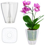 Kadax pot de fleurs, mince et simple pour orchid�e, marguerite, pour cuisine et salon, diam�tre 9 cm, ...