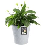 Kadax - pot de fleurs en plastique, disponible en 3 couleurs, r�sistant aux intemp�ries, avec surface ...