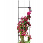 Kadax - treillis pergola de jardin pour plantes grimpantes 35x120