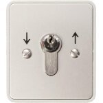 Kaiser nienhaus 322120 interrupteur  cl pour motorisation de portail montage apparent (en saillie)