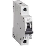 Kanlux - disjoncteur 1p 20a ? protection surtension ? rail th35 ? blanc ?