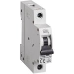 Kanlux - disjoncteur 1p 20a ? protection surtension ? rail th35 ? blanc ?