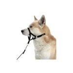 Karlie - collier d'ducation dog control type halti dsignation : dog contol taille : 5 / l type de race ...