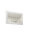Brio + / eco3 / platine encast. - dim. encast. 224x125x50 mm - pose murale ou plaf. . (660005)