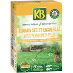 Kb mod�le de semences de f�tuque pour gazon r�sistant