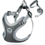 Kinsi - harnais chien harnais - anti traction, chiot courir formation harnais noir(s)