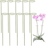 Kit 10 tuteur plante, supports pour plantes grimpantes et fleurs, tuteur vert, aidez vos fleurs � pousser, ...