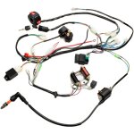 Kit complet de stator cdi de faisceau de cblage lectrique pour atv quad 150 / 200 / 250cc junjun