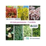 Kit haie persistante - 7 varits - lot de 70 godets