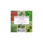 Kit 6 variétés haie persistante et fleurie - 6 variétés - lot de 18 godets Kit 6 variétés haie persistante et fleurie - 6 variétés - lot de 18 godets