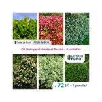 Kit haie persistante et fleurie - 6 varits - lot de 72 godets