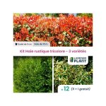 Leaderplant. com - kit haie rustique tricolore - 3 varits - lot de 12 godets