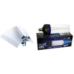 Kit lampe cfl 250w mixte 1