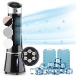 Rafrachisseur d'air klarstein 5 en 1 180m / h 45w noir / argent mtallis