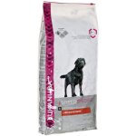 Eukanuba - labrador retriever adult - nourriture s�che pour chien - 12 kg