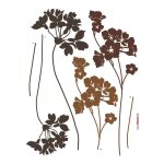 Lady's smock, sticker mural fleurs couleurs marrons - 50x70 cm