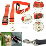Laisse avec ceinture de s�curit� et collier pour transport en voiture chien chat r�glable