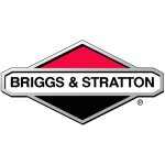 Lame briggs et stratton - 313316ma