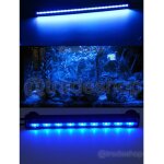 Lampe à immersion led pour aquarium tube led t4 dee fish light white rgb blue - 30 cm - Lampe à immersion led pour aquarium tube led t4 dee fish light white rgb blue - 30 cm -