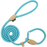 Lasso dog training leash laisse r�fl�chissante pour petits, moyens, grands et tr�s lourds chiens (bleu) ...