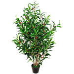 Laurier plante arbre artificielle artificiel plastique avec bois véritable 120cm domaine interne decovego ... Laurier plante arbre artificielle artificiel plastique avec bois véritable 120cm domaine interne decovego ...