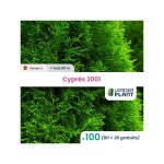 Cypres 2001 50 / 60 Cypres 2001 50 / 60