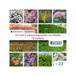 Leaderplant. com - kit haie 4 saisons exposition ensoleille - 10 varits - lot de 23 godets