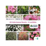 Leaderplant. com - kit haie basse fleurie - hauteur 1m - 8 varits - lot de 8 godets