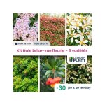 Leaderplant. com - kit haie brise vue fleurie - 6 varits - lot de 30 godets