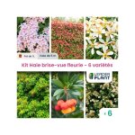 Leaderplant. com - kit haie brise vue fleurie - 6 varits - lot de 6 plants en pot de 1 litre
