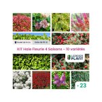 Leaderplant. com - kit haie fleurie 4 saisons - 10 varits - lot de 23 godets