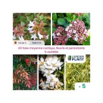 Leaderplant. com - kit haie moyenne rustique, fleurie et persistante - 5 varits