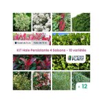 Leaderplant. com - kit haie persistante 4 saisons - 10 varits - lot de 12 godets