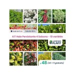Leaderplant. com - kit haie persistante 4 saisons - 10 variétés - lot de 48 godets Leaderplant. com - kit haie persistante 4 saisons - 10 variétés - lot de 48 godets