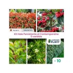 Leaderplant. com - kit haie persistante et contemporaine - 5 varits - lot de 10 pots de 4 l
