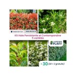 Leaderplant. com - kit haie persistante et contemporaine - 5 variétés - lot de 30 godets Leaderplant. com - kit haie persistante et contemporaine - 5 variétés - lot de 30 godets
