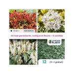 Leaderplant. com - kit haie persistante et fleurie - 4 variétés - lot de 12 pots de 1 l Leaderplant. com - kit haie persistante et fleurie - 4 variétés - lot de 12 pots de 1 l