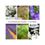 Leaderplant. com - kit plantes de rocaille - 6 variétés - lot de 6 godets Leaderplant. com - kit plantes de rocaille - 6 variétés - lot de 6 godets