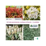 Leaderplant. com - kit 4 varits en turboplants haie persistante et fleurie - 4 varits - lot de 4 ...