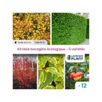 Leaderplant. com - kit haie bocagre cologique - 5 varits - lot de 12 godets