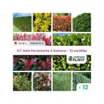 Leaderplant. com - kit haie persistante 4 saisons - 10 varits - lot de 12 pots de 1 litre