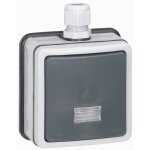 Legrand - interrupteur bipolaire lumineux plexo 66 - complet Legrand - interrupteur bipolaire lumineux plexo 66 - complet