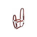 Licol '�clat' bordeaux equith�me pour cheval