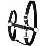 Licol écurie équitation randonné pony design classic robuste bouclerie inox têtière réglable cheval poney ... Licol écurie équitation randonné pony design classic robuste bouclerie inox têtière réglable cheval poney ...