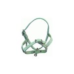 Inferramenta - licol pour mouton en cuir de buffle avec boucle et crochet pour mouton Inferramenta - licol pour mouton en cuir de buffle avec boucle et crochet pour mouton