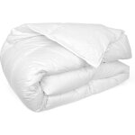 Linnea - couette cap nord garnissage duvet d'oie lger (t) 140x200 cm